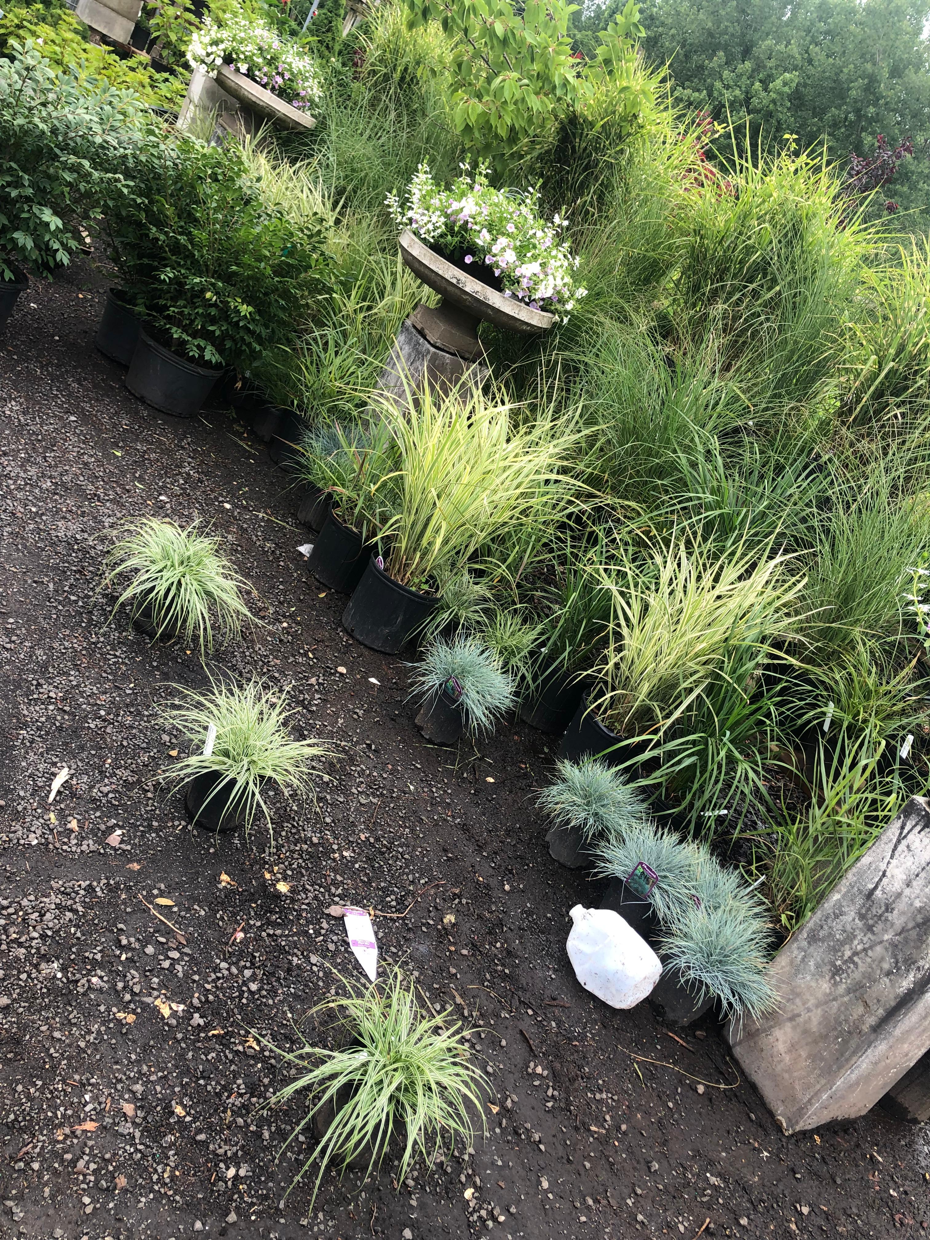 gardening