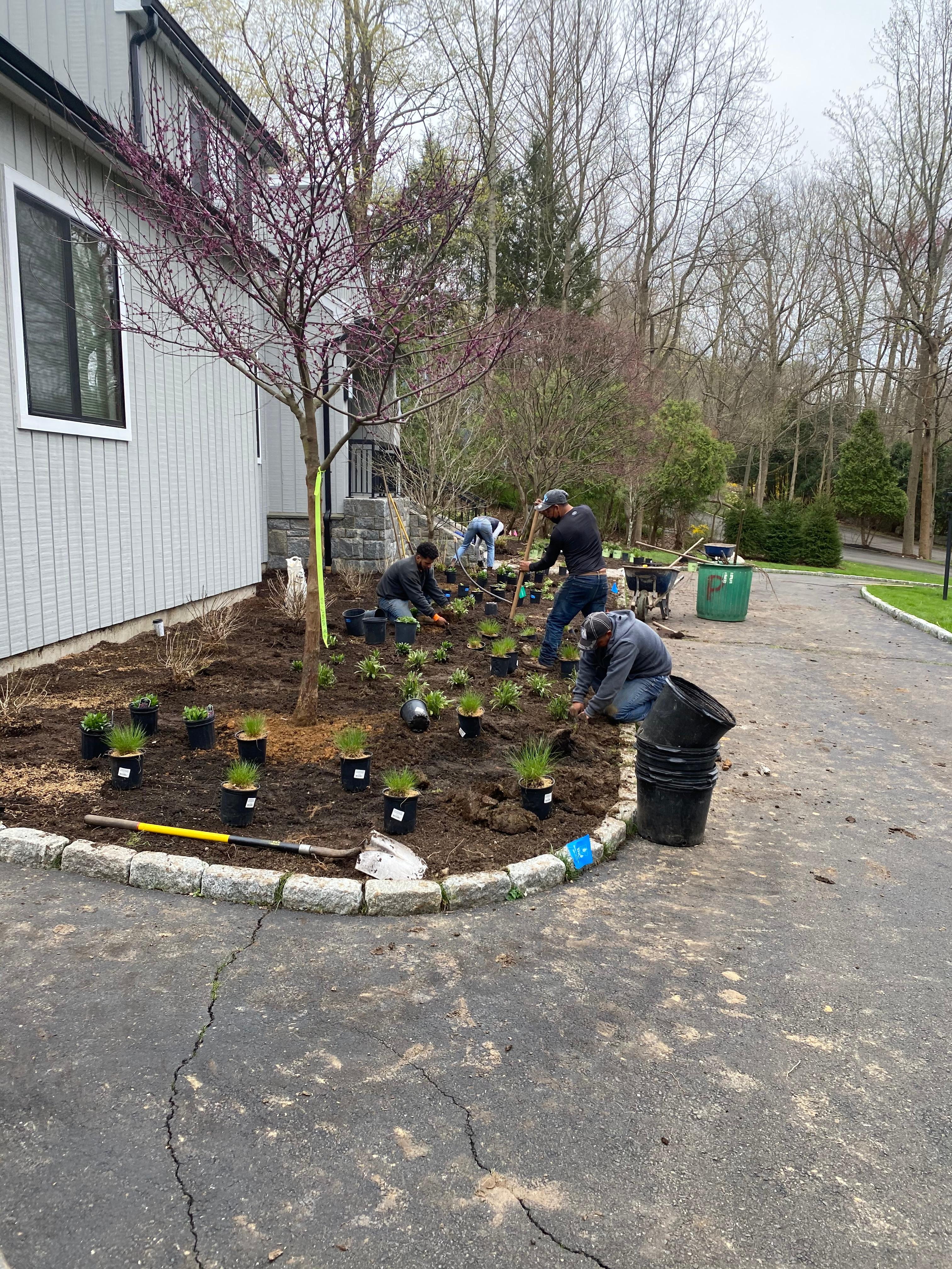 gardening